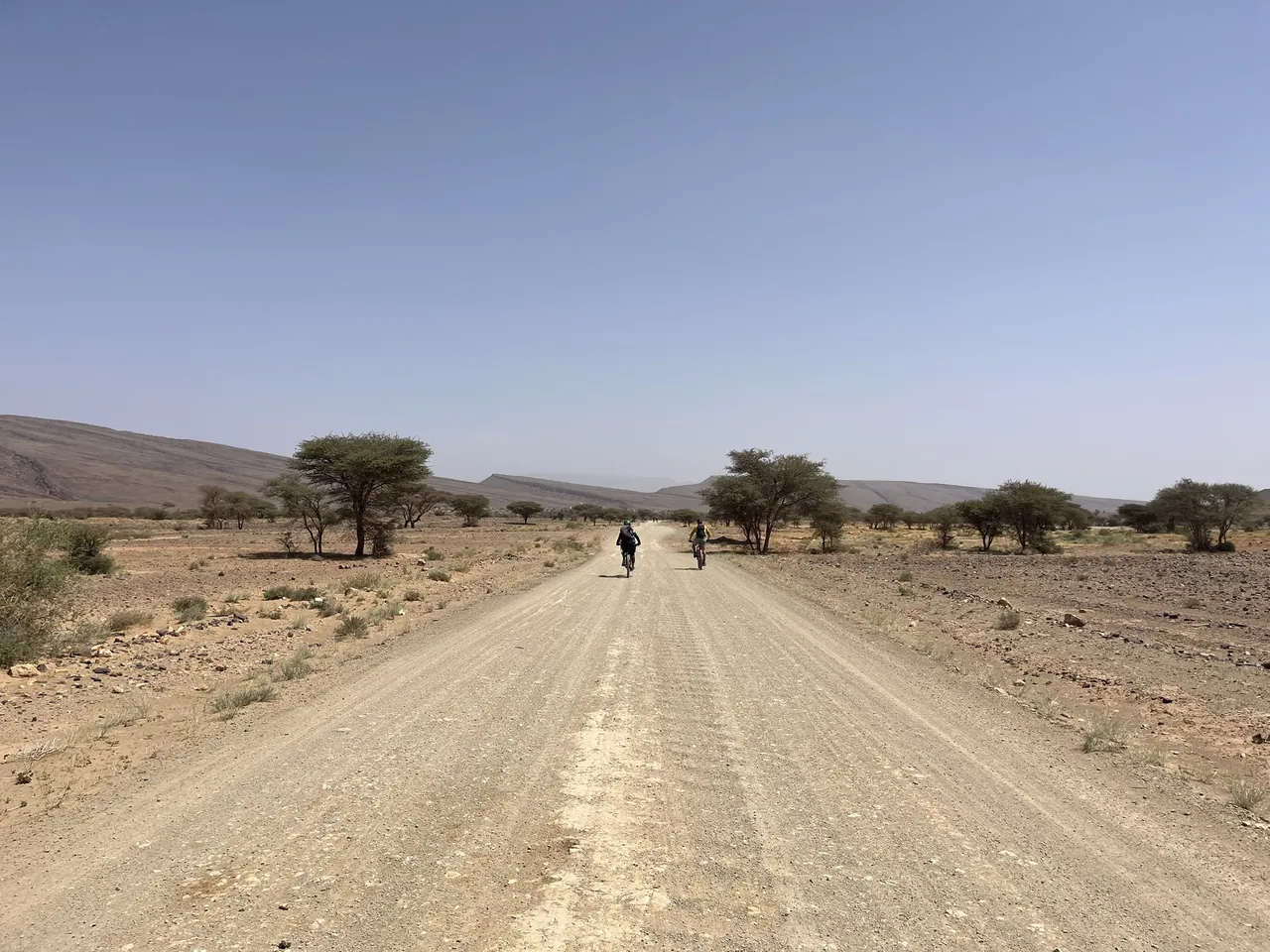 Two riders on a long gravel road through an acacia plain – cross-country mountain bike tour in Morocco