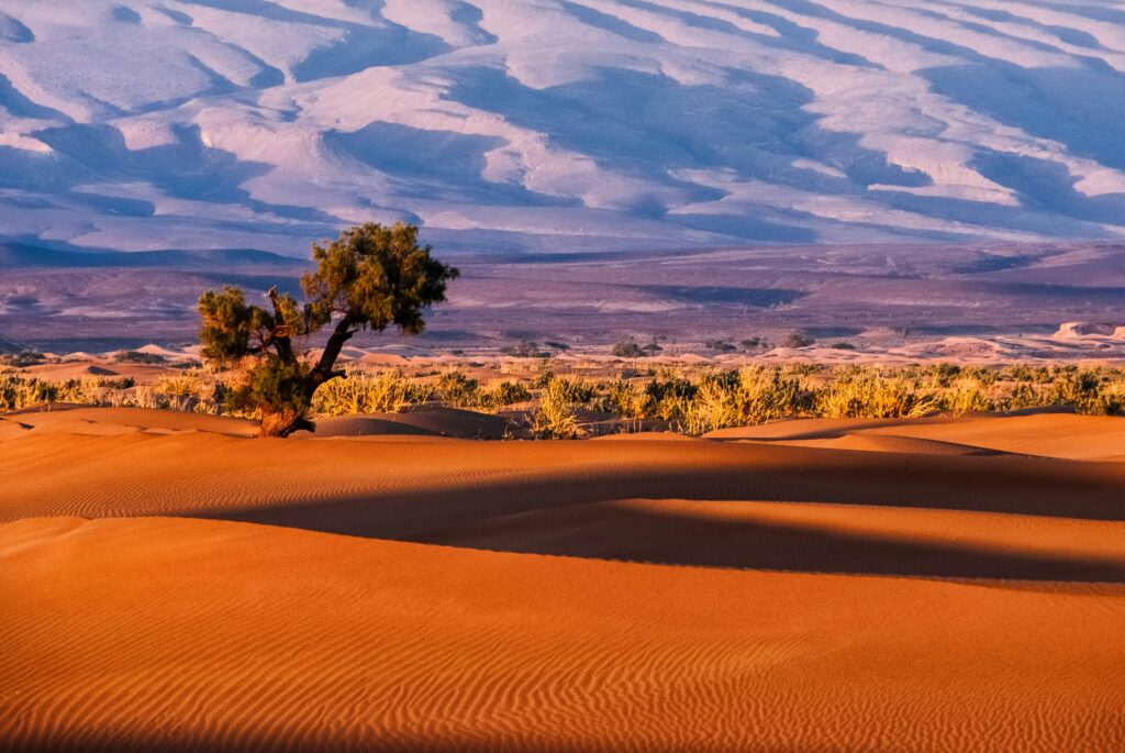 the beauty of desert morocco